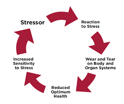 Athletes to Manage Stress: Strategies to Perform Under Pressure
